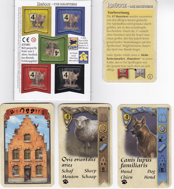 Брюгге. Домашние животные