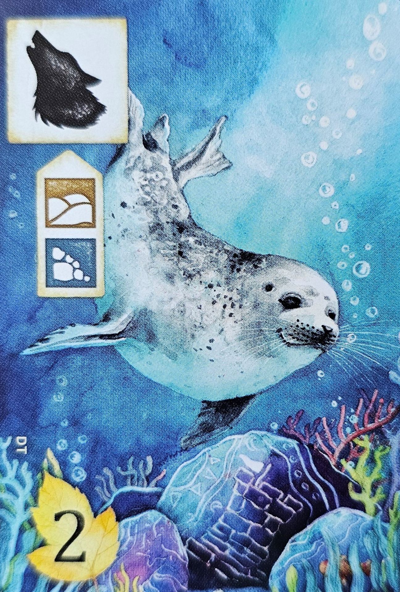 Meadow: Seal Promo Card
